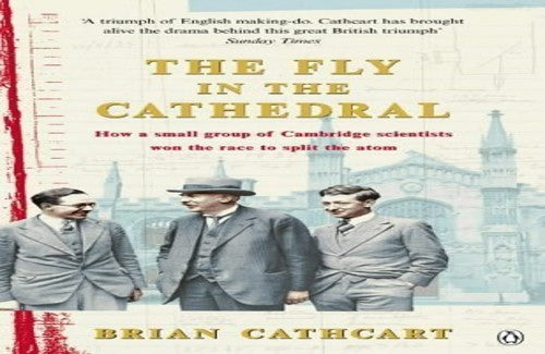 Fly in the Cathedral