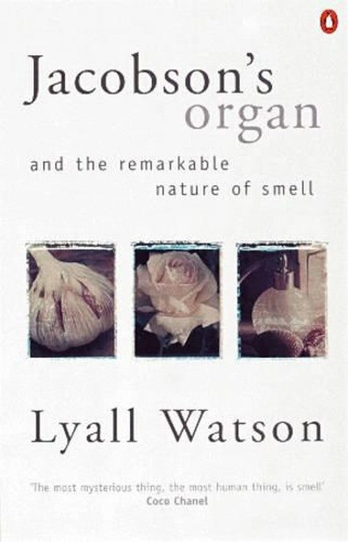 Jacobson's Organ