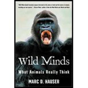 Wild Minds