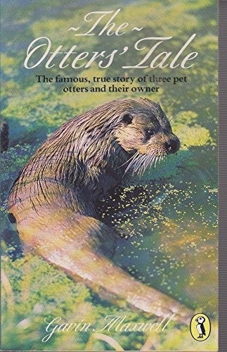 Otter's Tale