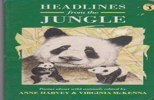 Headlines from the Jungle