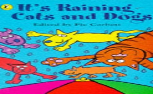 It's Raining Cats and Dogs