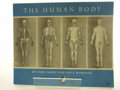The Human Body