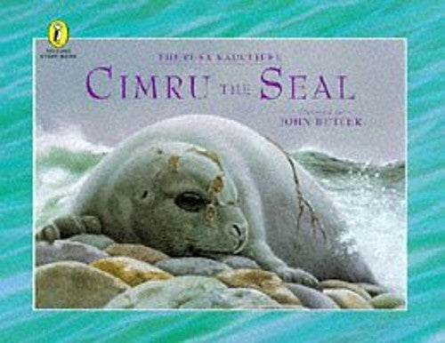 Cimru the Seal