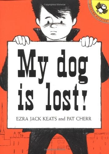 My Dog is Lost!
