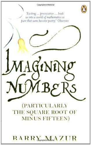 Imagining Numbers