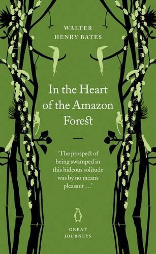 In the Heart of the Amazon Forest