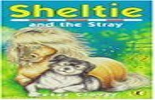 Sheltie And the Stray