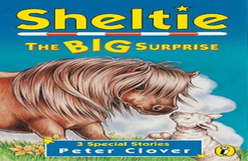Sheltie