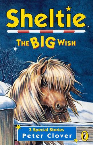 Sheltie: The Big Wish