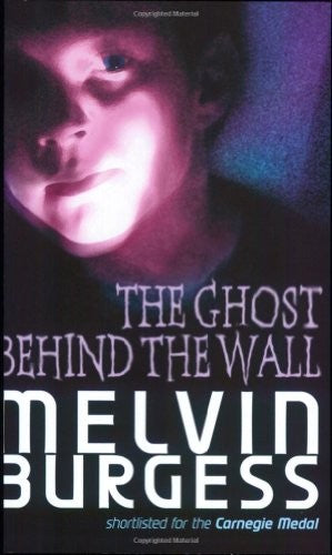 The Ghost Behind the Wall