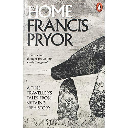 Home: A Time Traveller's Tales from Britain's Prehistory