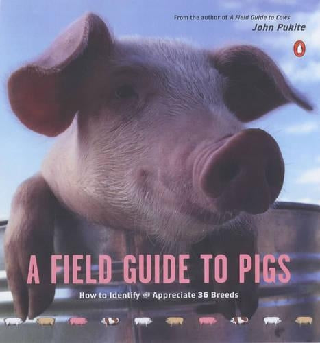 A Field Guide to Pigs
