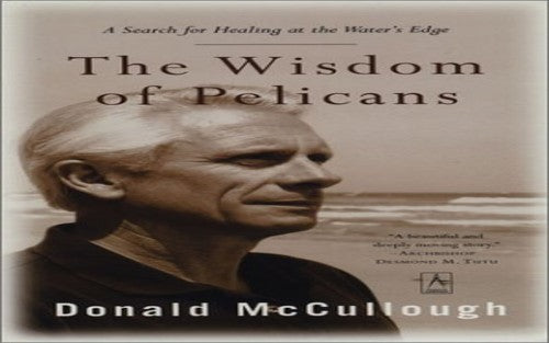 The Wisdom of Pelicans