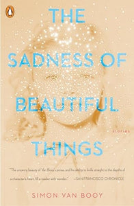 The Sadness of Beautiful Things 