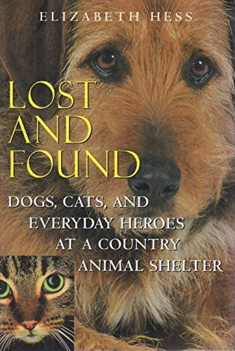 Lost and Found