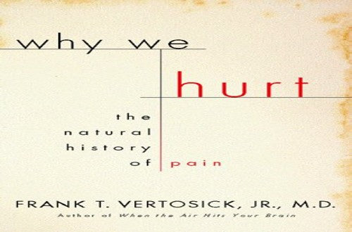 Vertosick Why We Hurt C