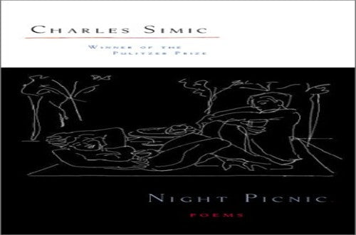 Night Picnic