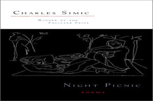 Night Picnic