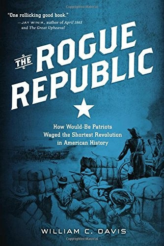 Rogue Republic