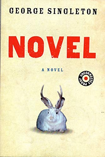 Novel