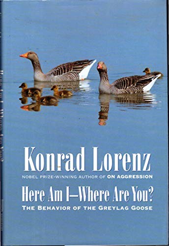 Here am I--Where are You?
