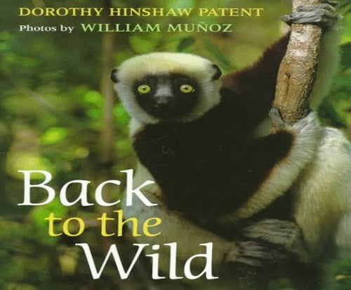 Back to the Wild