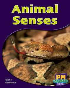 Animal Senses 