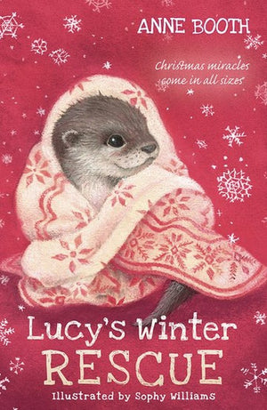 Lucy's Winter Rescue