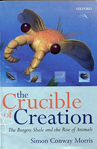 The Crucible of Creation