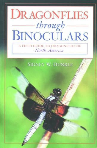 Dragonflies Through Binoculars