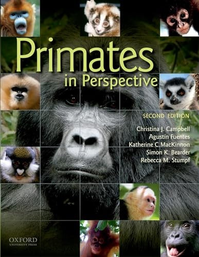 Primates In Perspective
