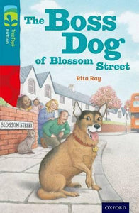 Oxford Reading Tree TreeTops Fiction: Level 9 More Pack A: The Boss Dog of Blossom Street 