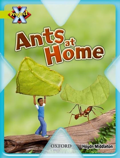 Project X: Underground: Ants at Home