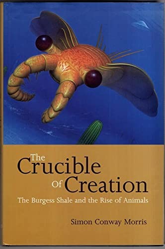 The Crucible of Creation