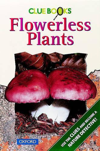 Flowerless Plants