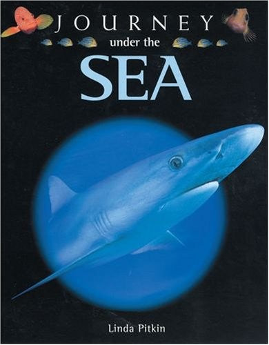 Journey Under the Sea