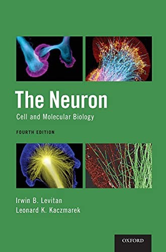 The Neuron