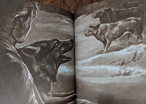 Ruff the Wolf