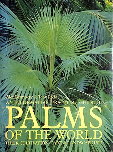 Palms