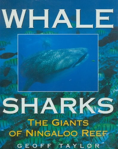 Whale Sharks