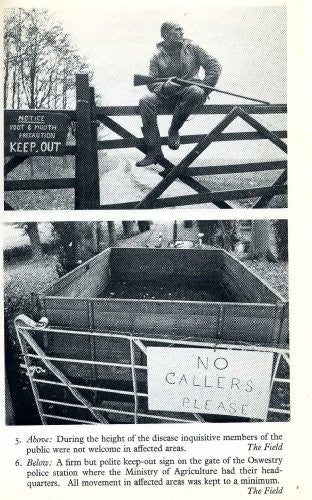 The Great Cattle Plague: An Account of the Foot-and-Mouth Epidemic of 1967-8