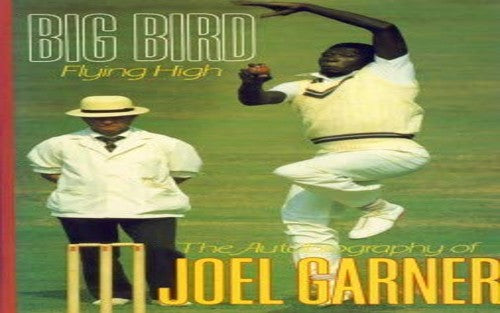 Big Bird Flying High
