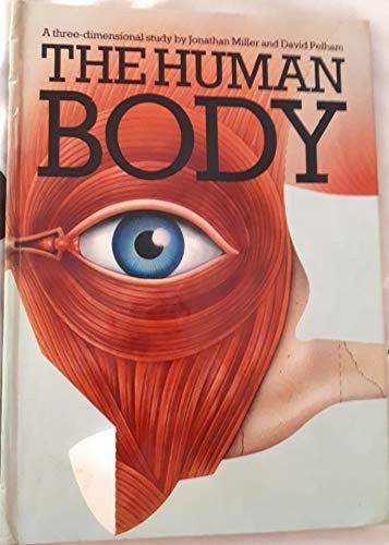 The Human Body