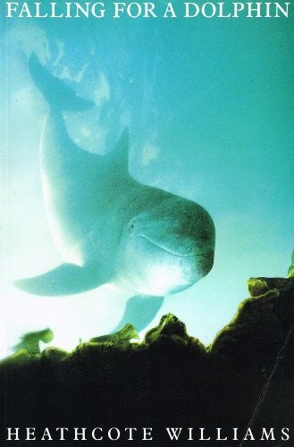 Falling for a Dolphin