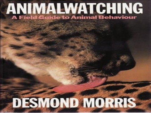 Animal Watching