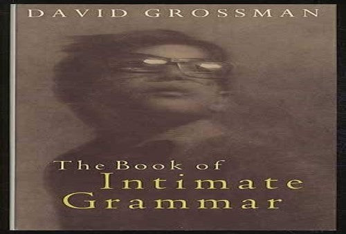 The Book of Intimate Grammar