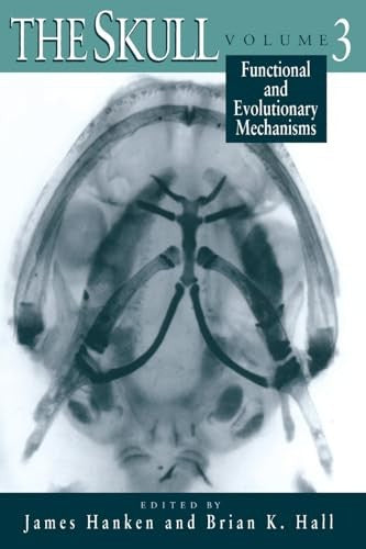 The Skull
