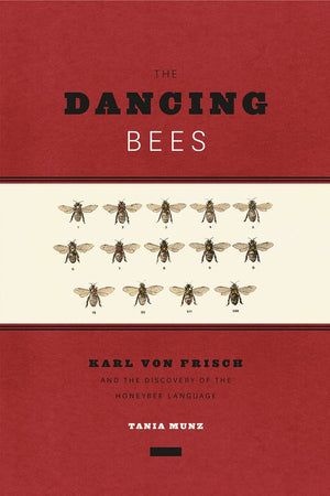 The Dancing Bees