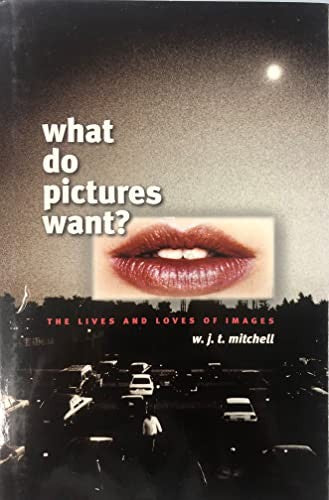 What Do Pictures Want?